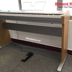 Đàn Piano Điện Casio PS 20: Giải Pháp Âm Thanh Chất Lượng Cho Người Mới Bắt Đầu Năm 2025