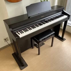 Đàn Piano Điện Casio PS 3000: Đánh Giá, Giá Cả Và Tính Năng Nổi Bật Năm 2025