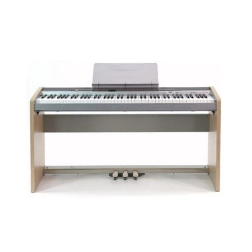 Đàn Piano Điện Casio PX 110