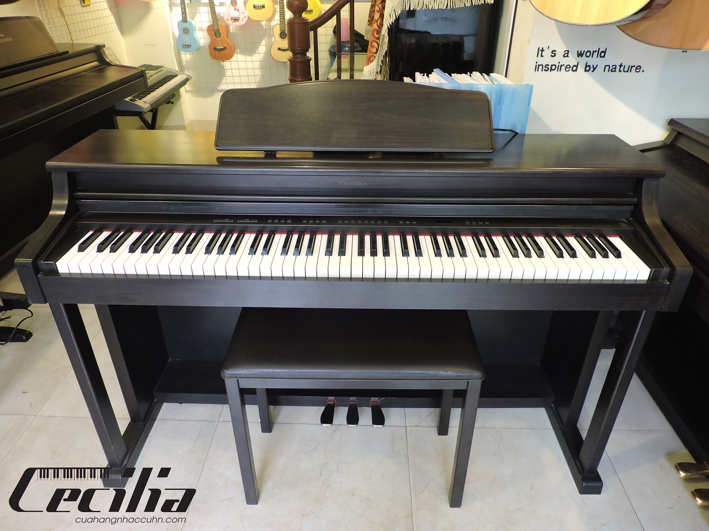 Đàn Piano Điện Columbia EP 1500: Tổng Quan và Đặc Điểm Nổi Bật