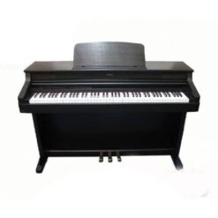 Đàn Piano Điện Columbia EP 1500: Đánh Giá, Tính Năng Và Giá Rẻ Năm 2025