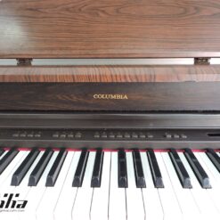 Đàn Piano Điện Columbia EP 1600: Đánh Giá, Tính Năng Và Hướng Dẫn Sử Dụng 2025
