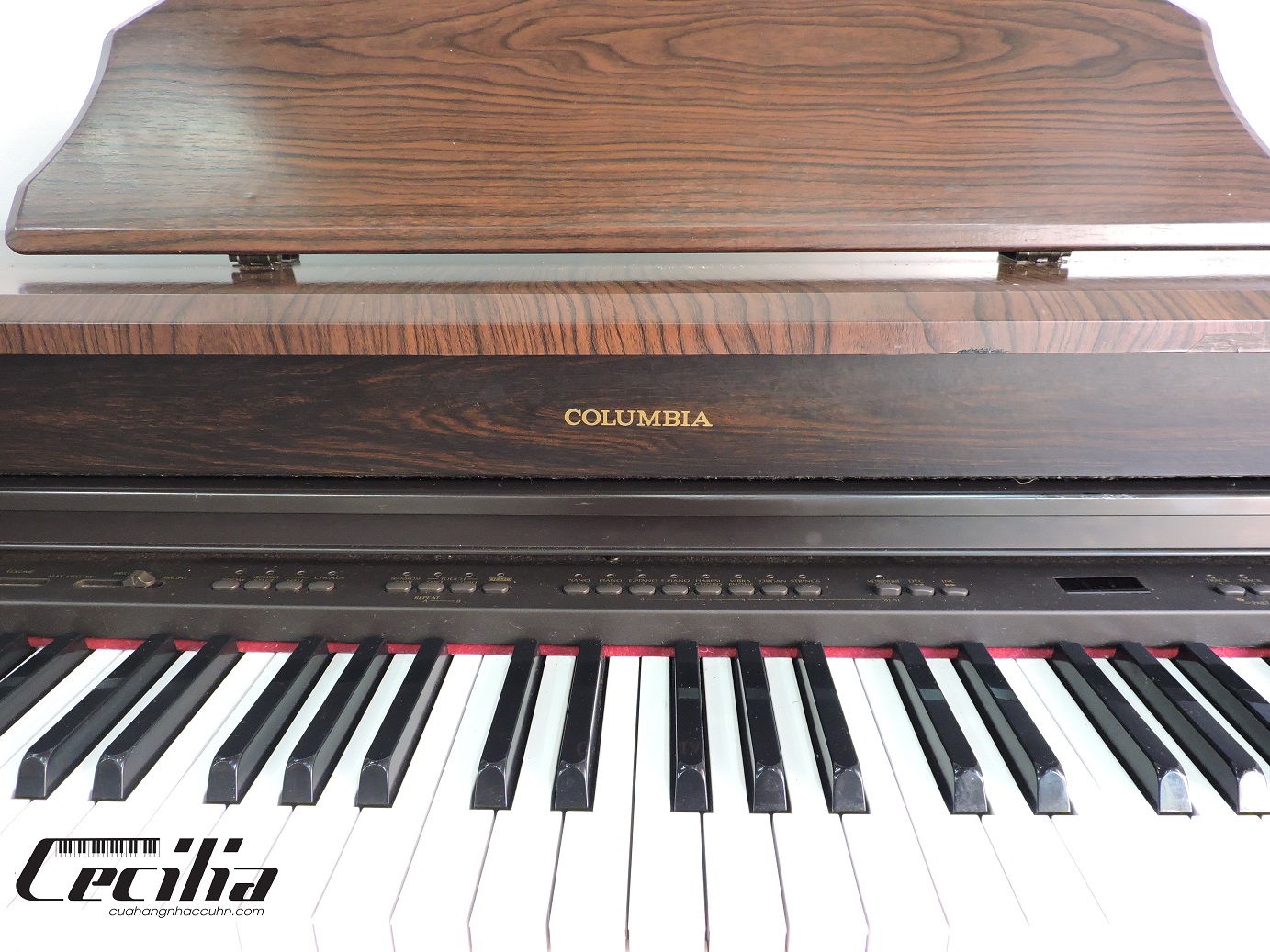 Hướng dẫn sử dụng đàn Piano điện Columbia EP 1600 cho người mới