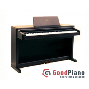 Đàn Piano Điện Columbia EP 3600: Đặc điểm nổi bật và tính năng