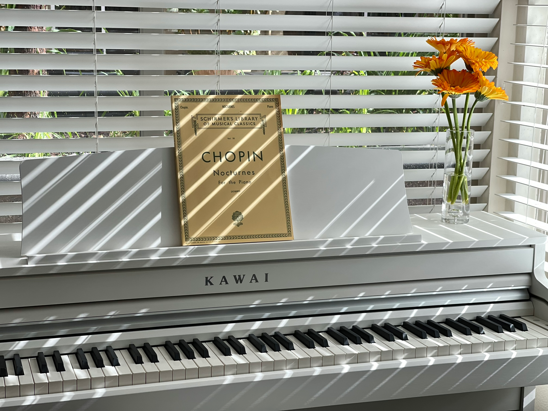 Đánh giá tổng quan về Đàn Piano Điện Kawai CA 49