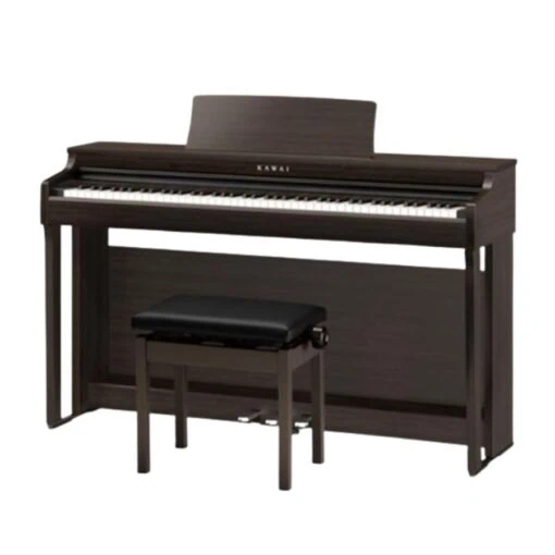 Đàn Piano Điện Kawai CN 29 LO