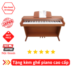 Đàn Piano Điện Kawai PN 2: Đánh Giá, Giá Tốt Và Tính Năng Nổi Bật Năm 2025