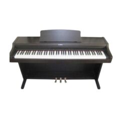 Đàn Piano Điện Kawai PN 270