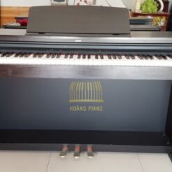 Đàn Piano Điện Kawai PN 370: Đánh Giá, Giá Cả Và Tính Năng Nổi Bật Năm 2025