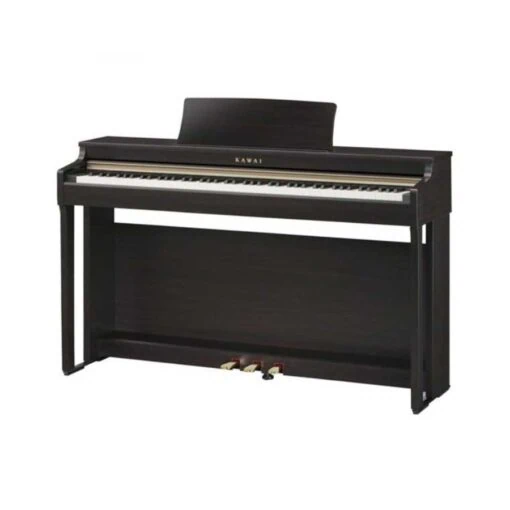 Đàn Piano Điện Kawai PN 4