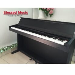 Đàn Piano Điện Kawai PN 80: Lựa Chọn Tốt Nhất Cho Người Mới Bắt Đầu Năm 2025