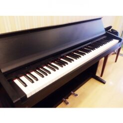 Đàn Piano Điện Kawai PN 85: Đánh Giá, Tính Năng Và Mua Sắm Năm 2025