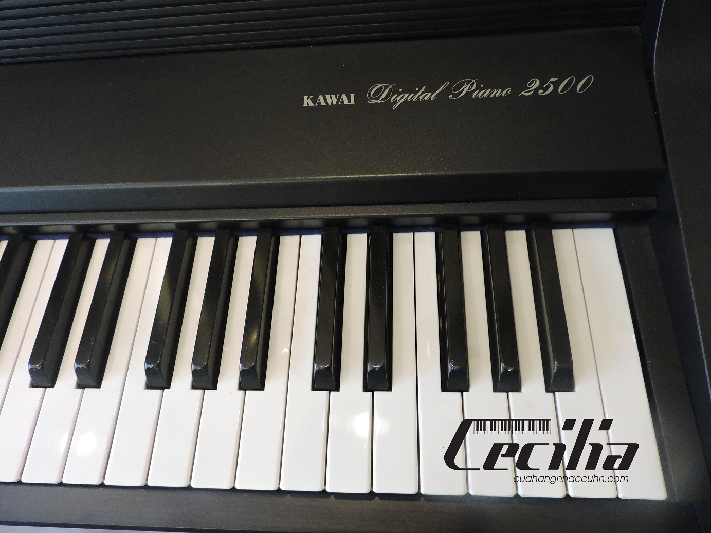 Những tính năng nổi bật của Kawai PW 250