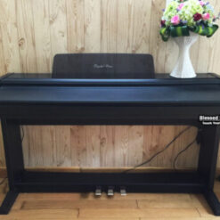 Đàn Piano Điện Kawai PW 500: Đánh Giá, Giá Cả Và Tính Năng Nổi Bật Năm 2025