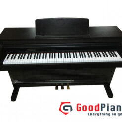 Đàn Piano Điện Kawai PW 810: Đánh Giá Chi Tiết Và Hướng Dẫn Sử Dụng Năm 2025