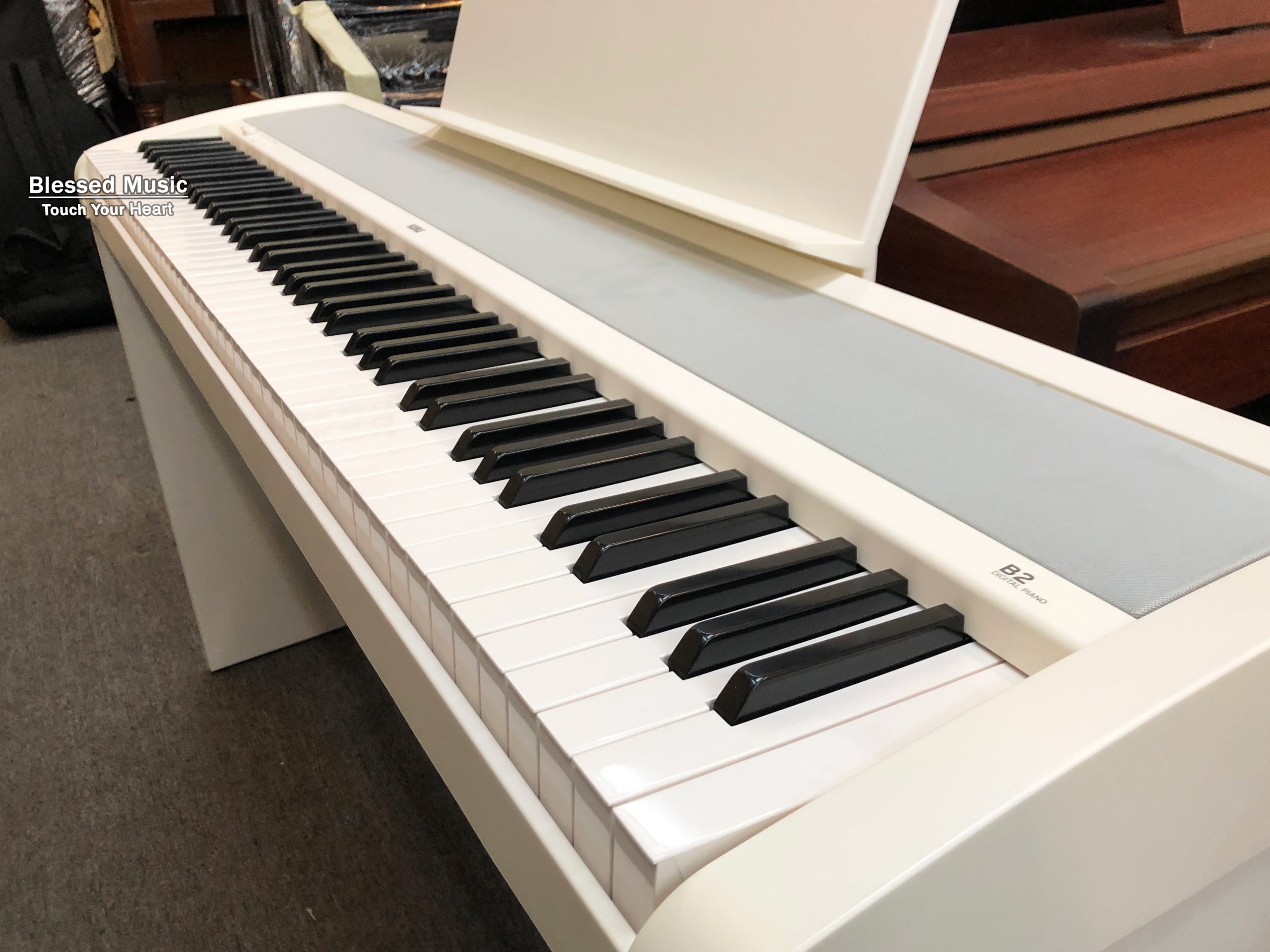 Giới thiệu về đàn piano điện Korg B2