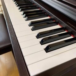 Đàn Piano Điện Korg C 505: Đánh Giá, Tính Năng Và Hướng Dẫn Sử Dụng 2025