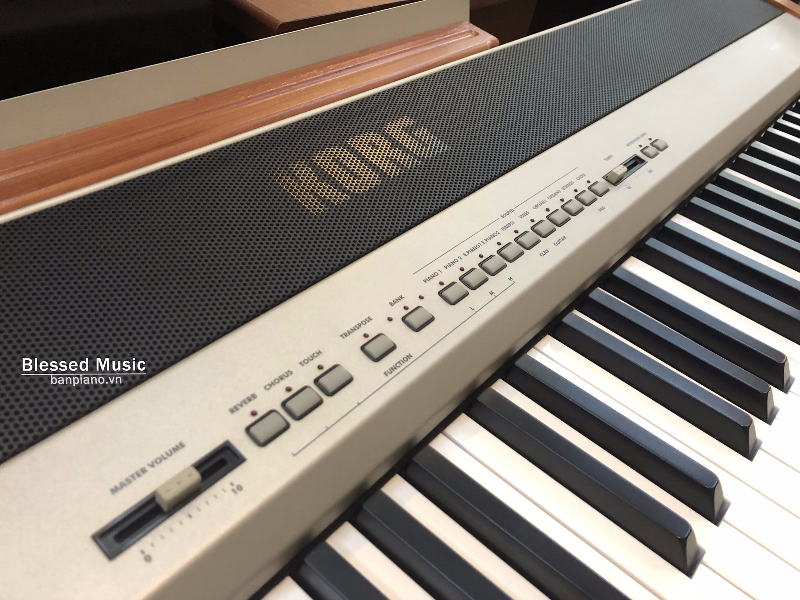Hướng dẫn chọn mua đàn piano điện Korg SP 300