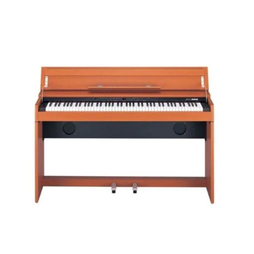 Đàn Piano Điện Roland DP 900
