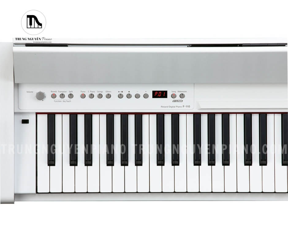 Tính năng nổi bật của Đàn Piano Điện Roland F110