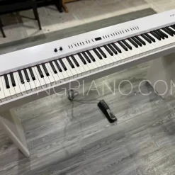 Đàn Piano Điện Roland FP 4: Đánh Giá, Giá Tốt Nhất Và Tính Năng Nổi Bật 2025