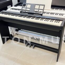 Đàn Piano Điện Roland FP 7: Đánh Giá, Hướng Dẫn Sử Dụng Và So Sánh Năm 2025