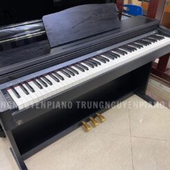 Đàn Piano Điện Roland HP 147: Đánh Giá Âm Thanh Và Tính Năng Học Tập Năm 2025