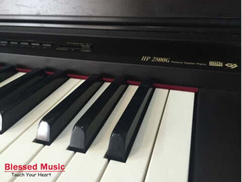 So Sánh Đàn Piano Điện Roland HP 2800G với Các Mẫu Khác