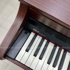 Đàn Piano Điện Roland HP 505 GP: Đánh Giá, Giá Rẻ Và Mua Ở Đâu Năm 2025