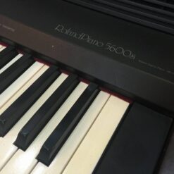 Đàn Piano Điện Roland HP 5600: Âm Thanh Tự Nhiên Và Tính Năng Đột Phá Cho Người Mới Học