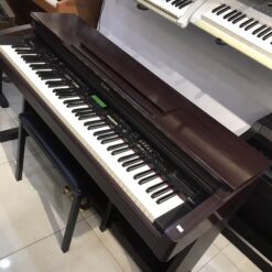 Đàn Piano Điện Roland KR 277: Đánh Giá, Giá Rẻ Và Tính Năng Cho Người Mới Bắt Đầu 2025