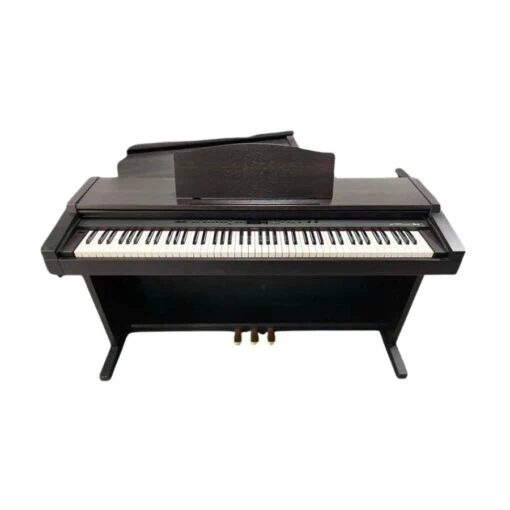 Đàn Piano Điện Roland PT 1000