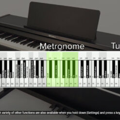 Đàn Piano Điện Roland RP 107: Đánh Giá, Giá Cả Và Tính Năng Nổi Bật Năm 2025