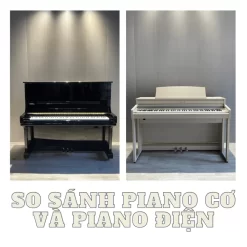 Đàn Piano Điện Roland RP 201: Đánh Giá Chi Tiết Và Hướng Dẫn Mua Năm 2025