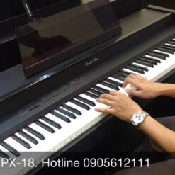 Đàn Piano Điện Technics PX 18: Đánh Giá, Hướng Dẫn Sử Dụng Và Mua Sắm Năm 2025