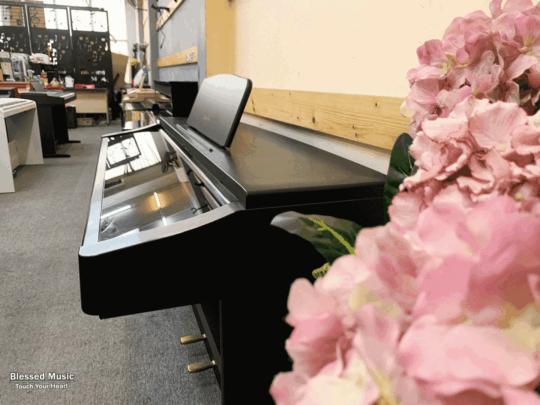 Giới thiệu về đàn Piano điện Technics SX PX 111