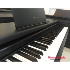 Đàn Piano Điện Technics SX PX 111: Âm Thanh Chất Lượng Cho Người Mới Học 2025