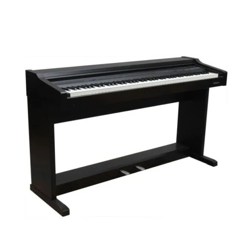 Đàn Piano Điện Technics PX 30