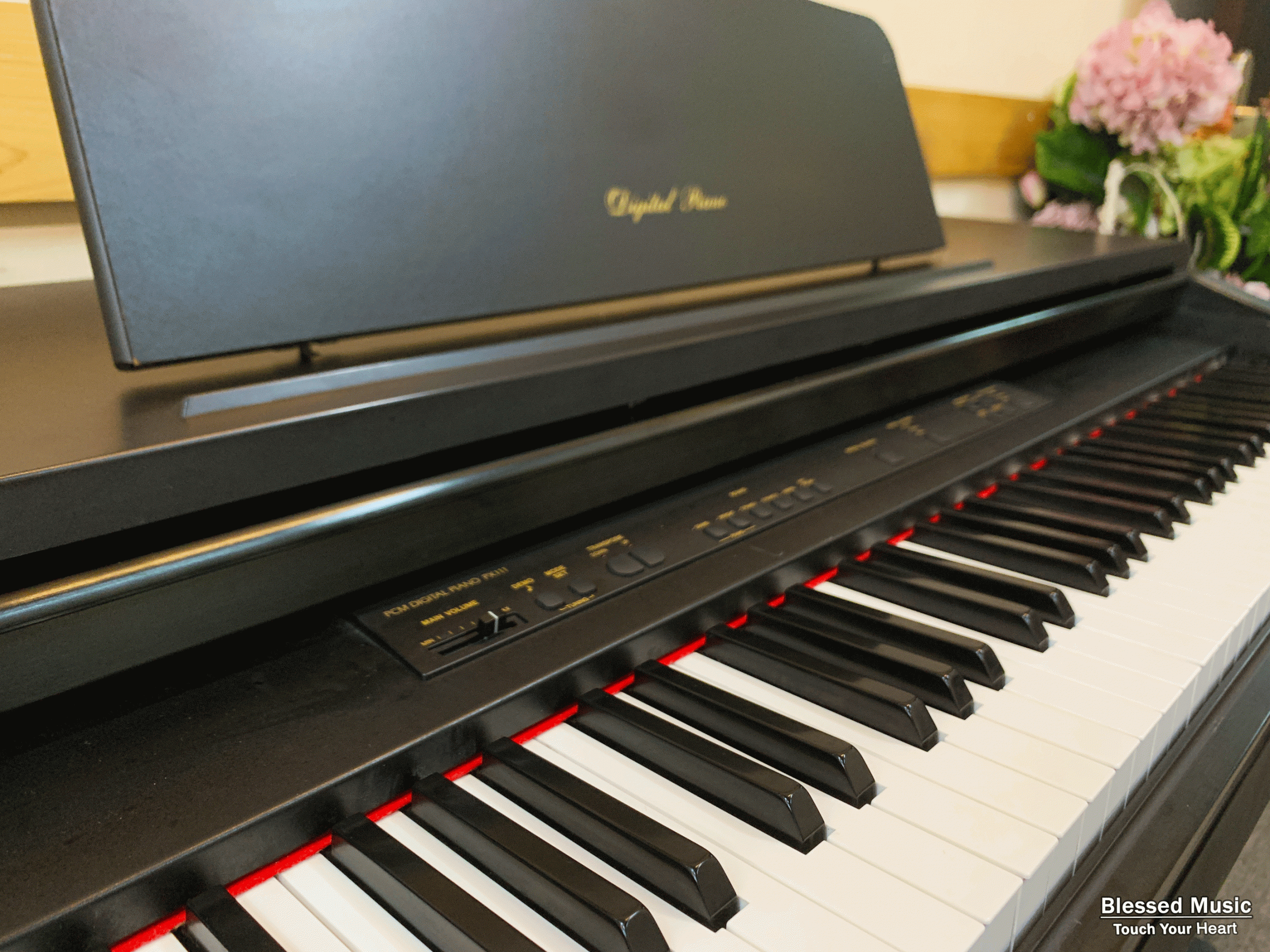 So sánh Technics SX PX 552 với các dòng đàn piano điện khác