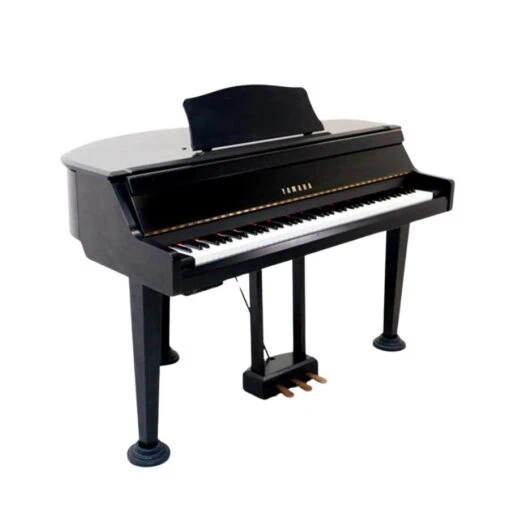 Đàn Piano Điện Yamaha DGP-1
