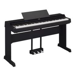 Đàn Piano Điện Yamaha DGX 500: Đánh Giá, Giá Cả Và Hướng Dẫn Sử Dụng 2025