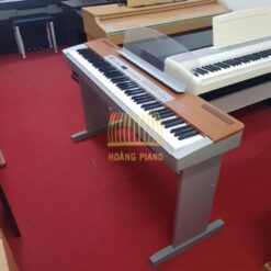 Đàn Piano Điện Yamaha P 120: Đánh Giá, Giá Cả Và Hướng Dẫn Sử Dụng Năm 2025
