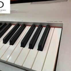 Đàn Piano Điện Yamaha P60: Đánh Giá, Hướng Dẫn Sử Dụng Và Giá Cả 2025
