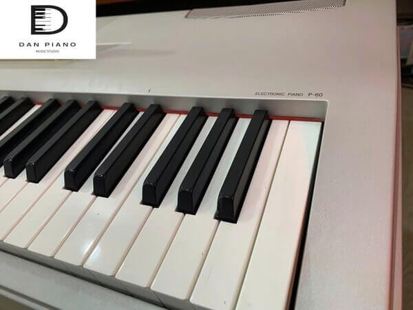Hướng dẫn sử dụng đàn Piano điện Yamaha P 60 cho người mới bắt đầu