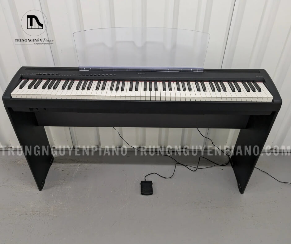 Âm thanh và cảm ứng bàn phím của Yamaha P 95
