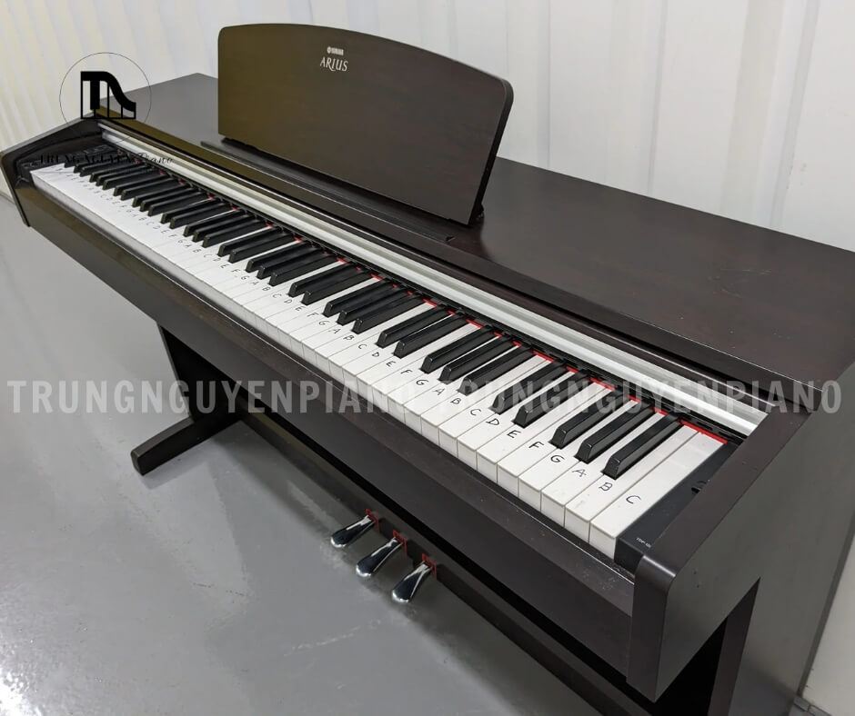 Đánh giá tổng quan về đàn piano điện Yamaha YDP 135