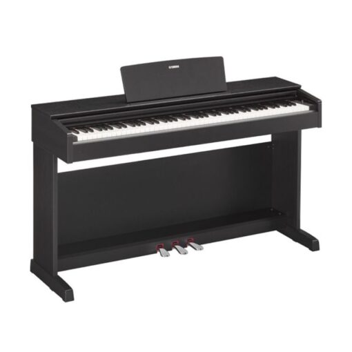Đàn Piano Điện Yamaha YDP 143