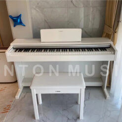 Đàn Piano Điện Yamaha YDP 145: Đánh Giá, Tính Năng Và Giá Cả Năm 2025