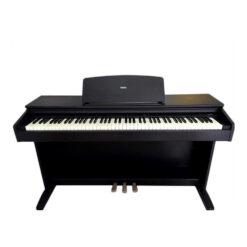 Đàn Piano Điện Yamaha YDP 88 II: Đánh Giá Chất Lượng Âm Thanh Và Tính Năng Nổi Bật Năm 2025