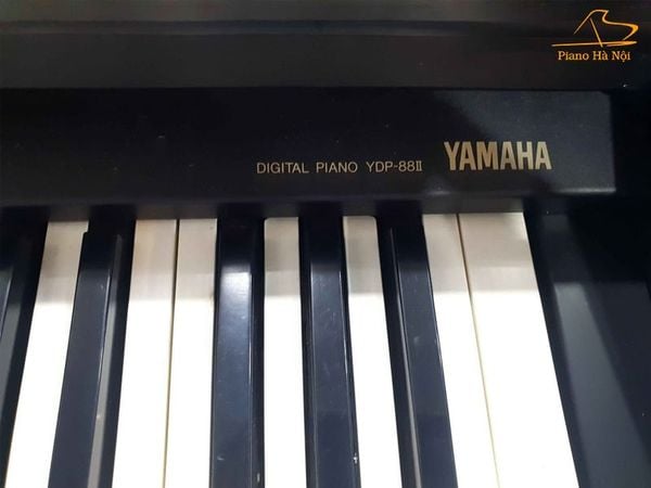 So sánh đàn piano điện Yamaha YDP 88 II với các mẫu khác